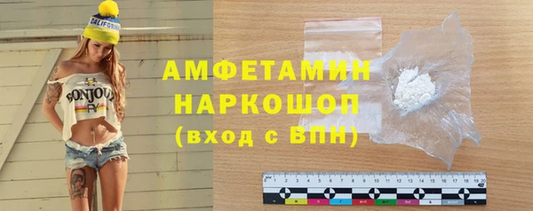 СК Алексин