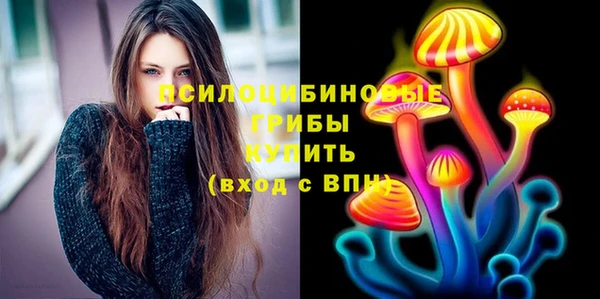 бошки Алексеевка