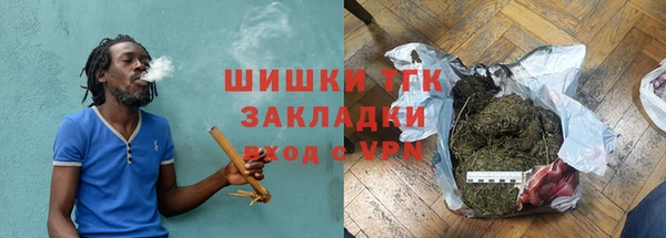 СК Алексин