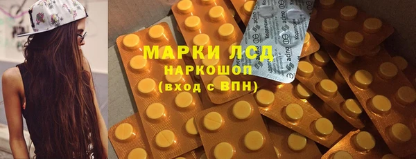 СК Алексин