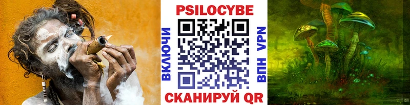 кракен ССЫЛКА  Муром  Псилоцибиновые грибы Cubensis 